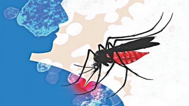 দেশে আরও ২২১ ডেঙ্গু আক্রান্ত