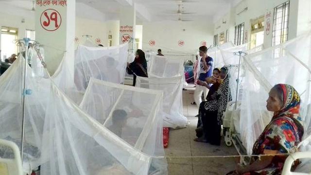 ডেঙ্গুতে একদিনে আরও ২০৩ জন হাসপাতালে
