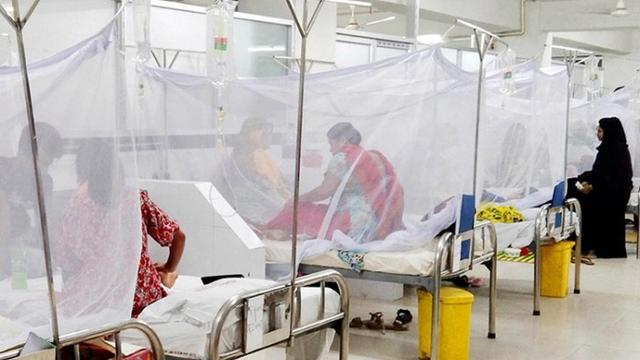 ডেঙ্গুতে ১ জনের মৃত্যু, আক্রান্ত ১১৬