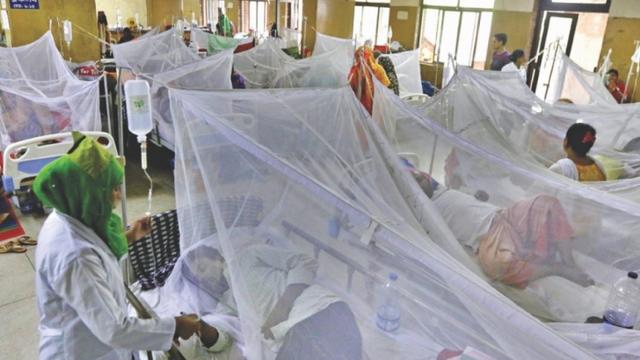 ডেঙ্গুতে চারজনের মৃত্যু, আক্রান্ত ৩৪৫
