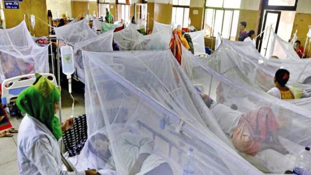 একদিনে রেকর্ড সংখ্যক ডেঙ্গু রোগী ভর্তি