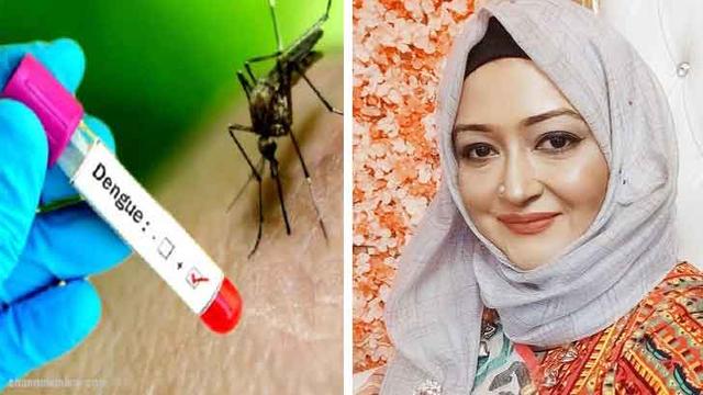 গর্ভাবস্থায় ডেঙ্গু জ্বর