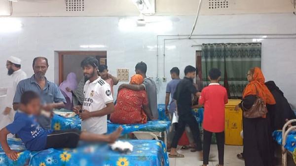 চাঁদপুরে দুই সপ্তাহে সাপে কাটা অর্ধশত রোগী, একজনের মৃত্যু