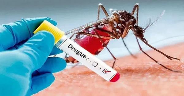 ভারতে প্রথমবারের মতো ডেঙ্গুর টিকা অনুমোদন